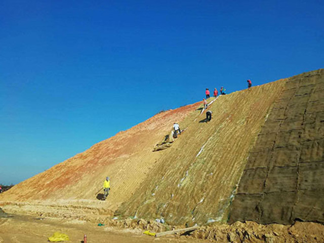 環(huán)保草毯的特點(diǎn)有哪些？